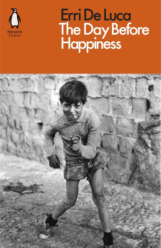 Kaft van Day Before Happiness