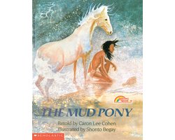 Kaft van The Mud Pony