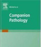 Kaft van Pocket Companion to Robbins and Cotran Pathologic Basis of Disease