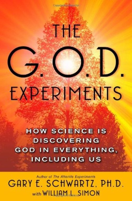 Kaft van The G.o.d. Experiments