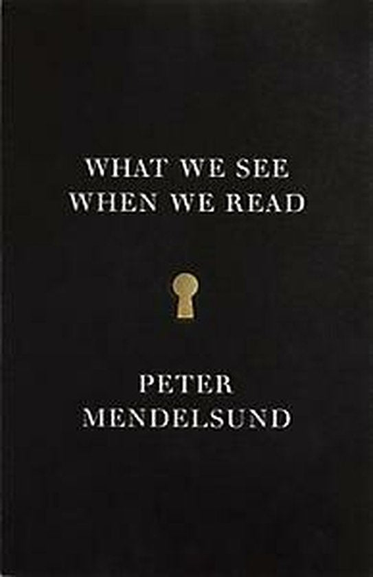 Kaft van What We See When We Read