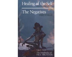 Kaft van Healing of the Self The Negatives