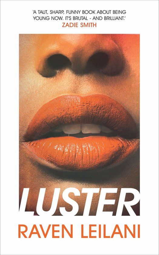 Kaft van Luster