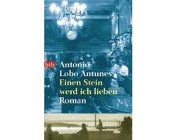 Kaft van Einen Stein werd ich lieben
