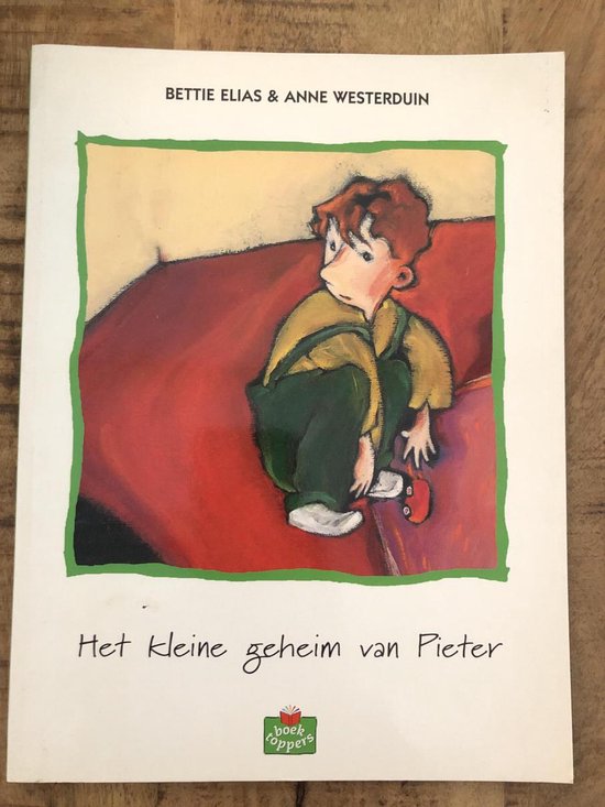 Kaft van Het kleine geheim van pieter