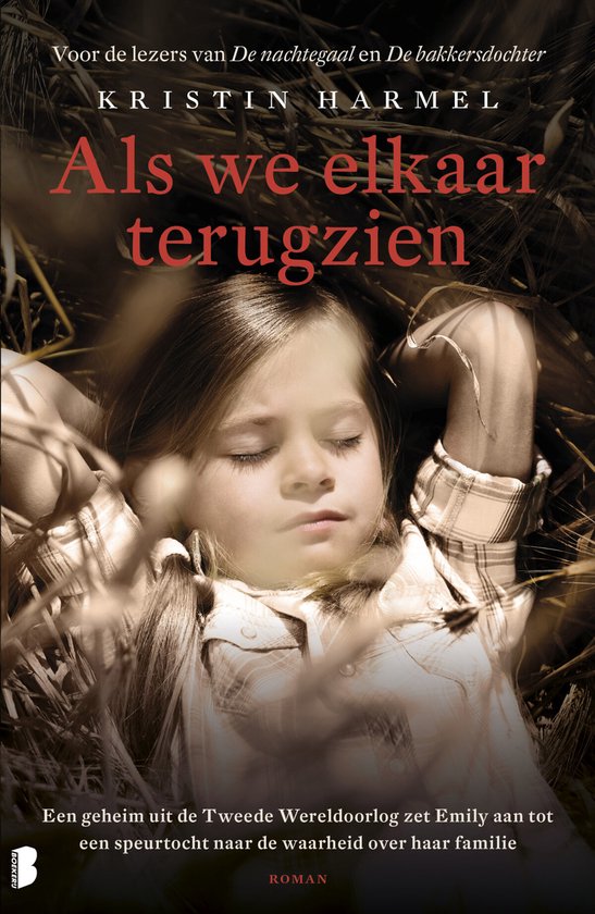 Kaft van Als we elkaar terugzien