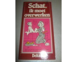 Kaft van Schat ik moet overwerken