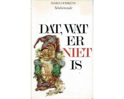 Kaft van Dat wat er niet is
