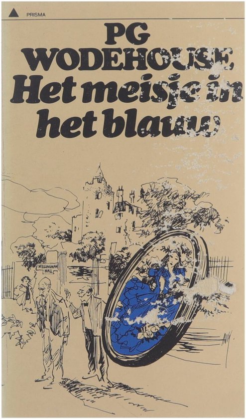 Kaft van Het meisje in het blauw