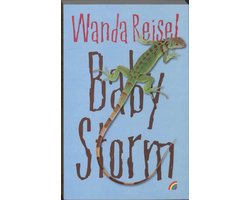 Kaft van Baby Storm