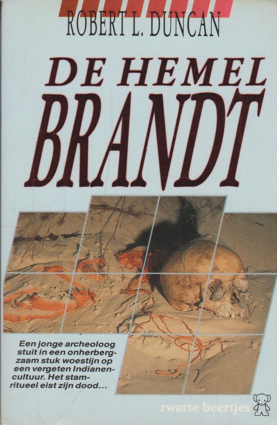 Kaft van De hemel brandt