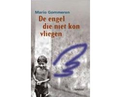 Kaft van Engel Die Niet Kon Vliegen