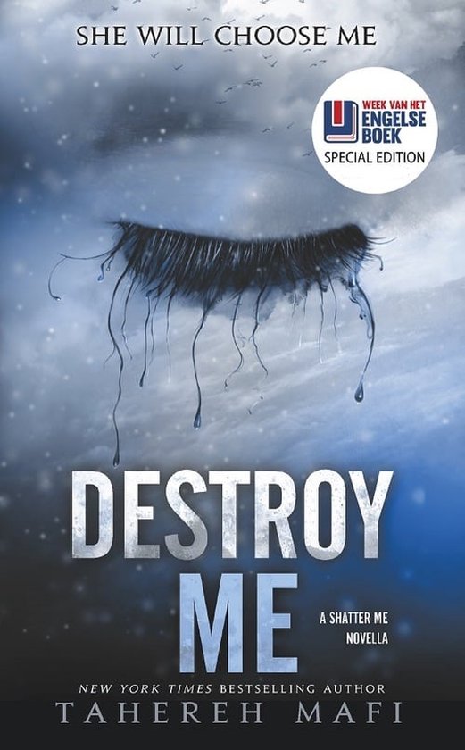 Kaft van destroy me