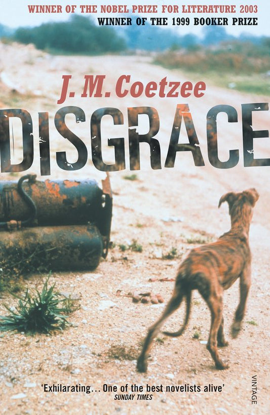 Kaft van Disgrace