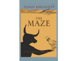 Kaft van The Maze