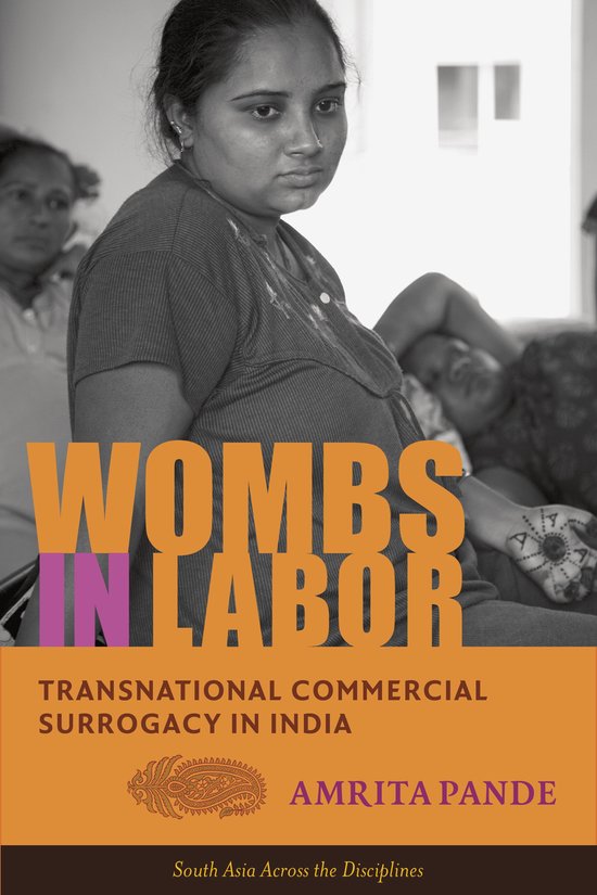 Kaft van Wombs in Labor