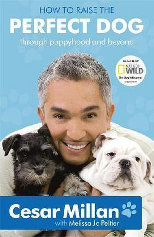 Kaft van How To Raise The Perfect Dog