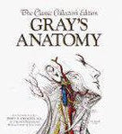 Kaft van Grays' Anatomy