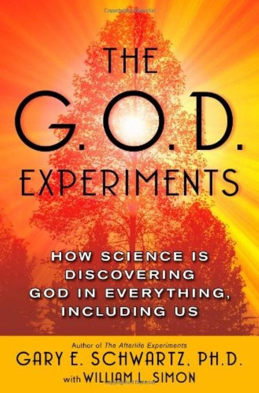 Kaft van The G.o.d. Experiments