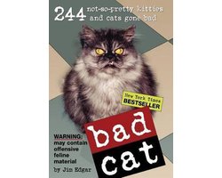 Kaft van Bad Cat