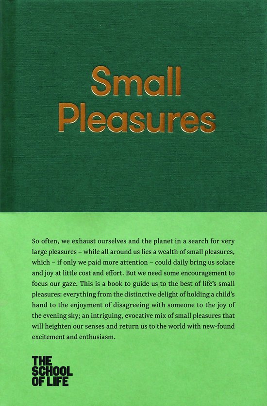 Kaft van Small Pleasures