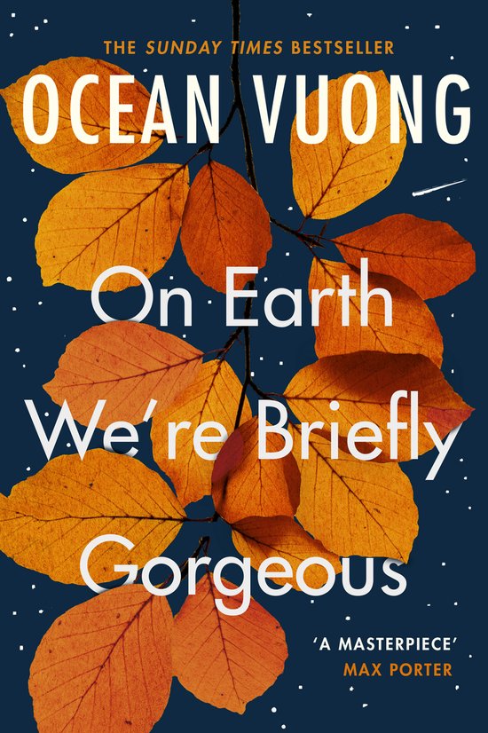 Kaft van On Earth Were Briefly Gorgeous