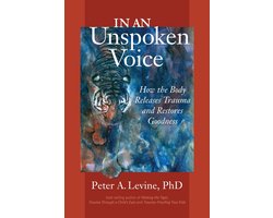 Kaft van In An Unspoken Voice