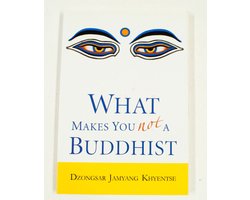 Kaft van What Makes You Not A Buddhist