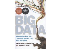 Kaft van Big Data