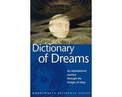 Kaft van Dictionary Of Dreams