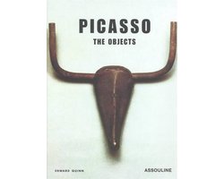 Kaft van Picasso