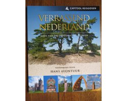 Kaft van Verrassend Nederland