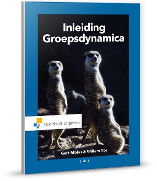 Kaft van Inleiding groepsdynamica