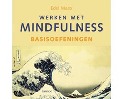 Kaft van Werken met mindfulness Basisoefeningen