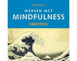 Kaft van Werken met mindfulness Emoties