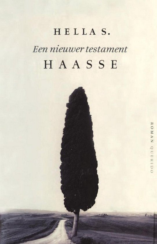 Kaft van Een nieuwer testament