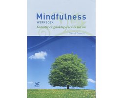 Kaft van Mindfulness werkboek