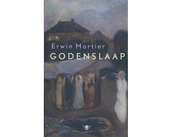 Kaft van Godenslaap