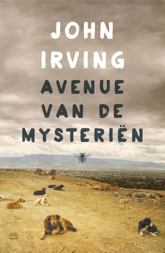 Kaft van Avenue van de mysteriën