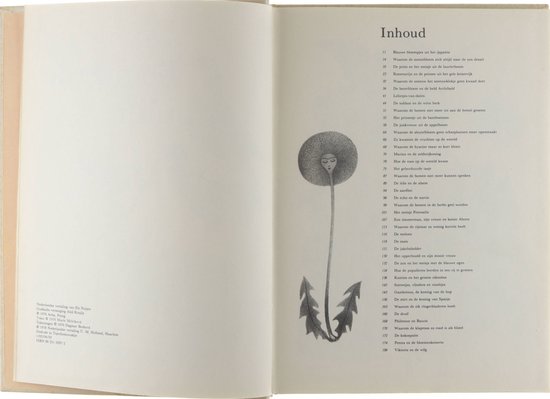 Kaft van De betoverde tuin | Dagmar Berková
