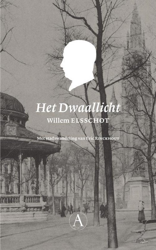 Kaft van Het Dwaallicht