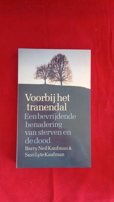 Kaft van Voorbij het tranendal