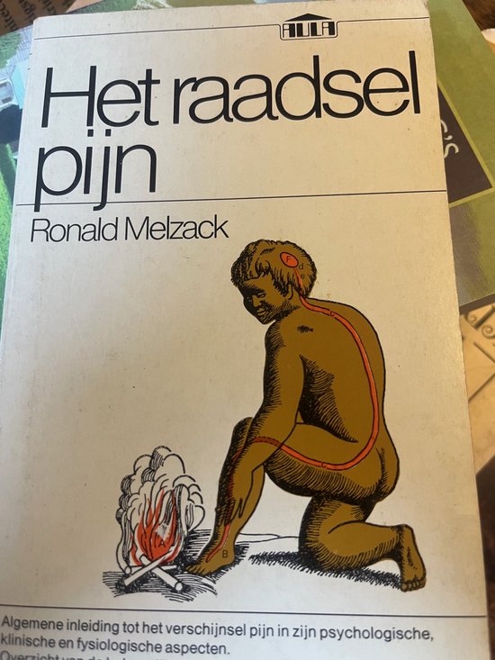 Kaft van Raadsel pyn