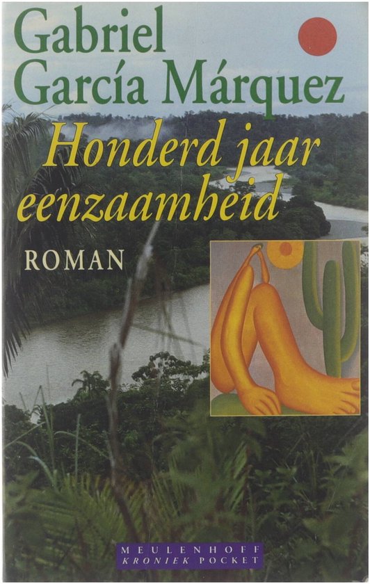 Kaft van HONDERD JAAR EENZAAMHEID