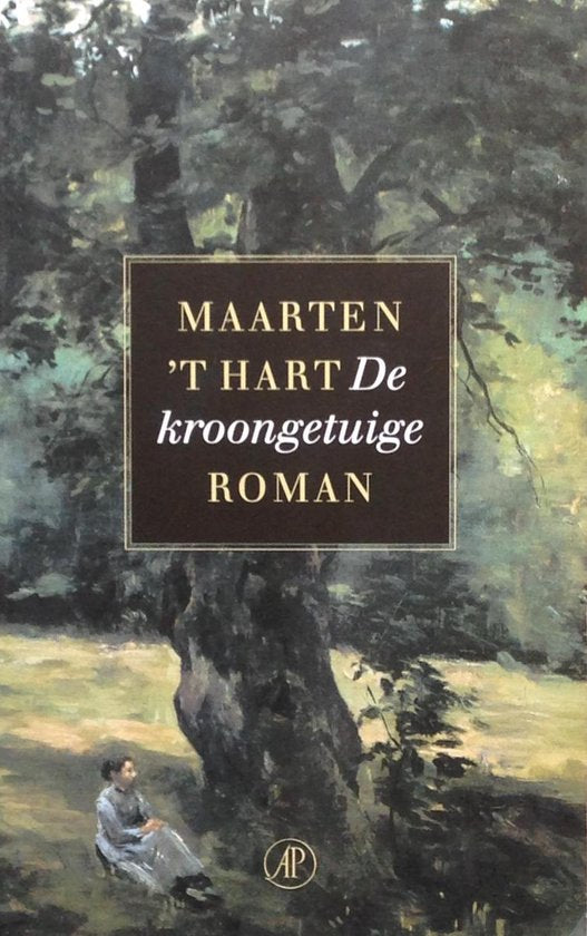 Kaft van De kroongetuige