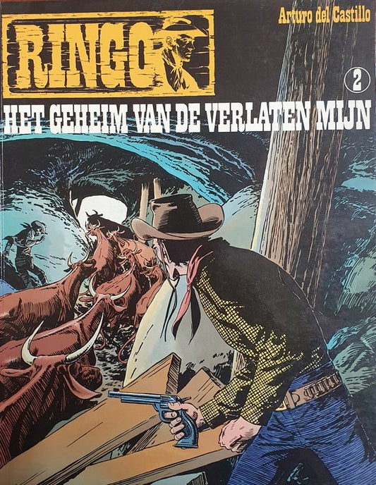 Kaft van Geheim van de verlaten myn