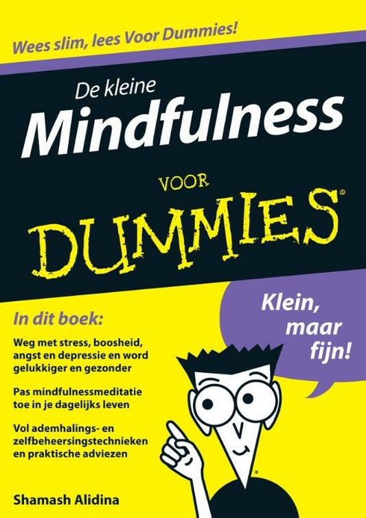 Kaft van Voor Dummies - De kleine Mindfulness voor dummies