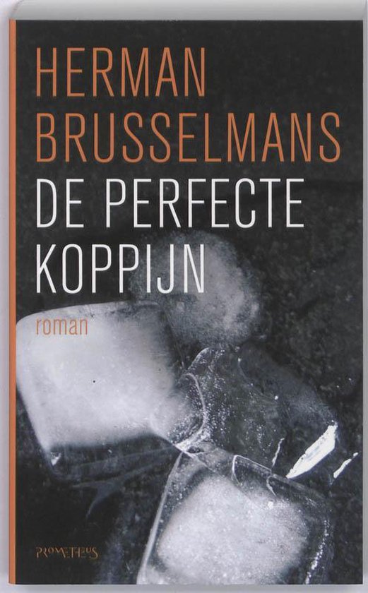 Kaft van De Perfecte Koppijn