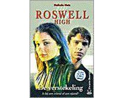 Kaft van De verstekeling