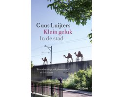 Kaft van Klein geluk In de stad